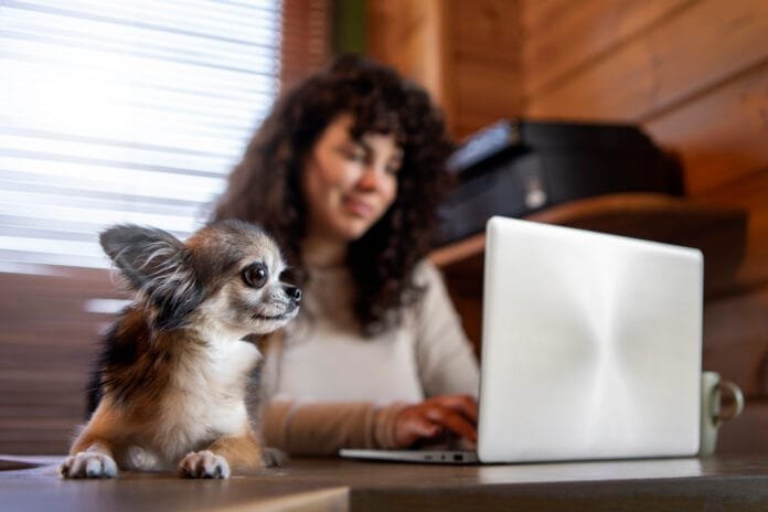 Inteligência artificial revoluciona o atendimento veterinário no Brasil