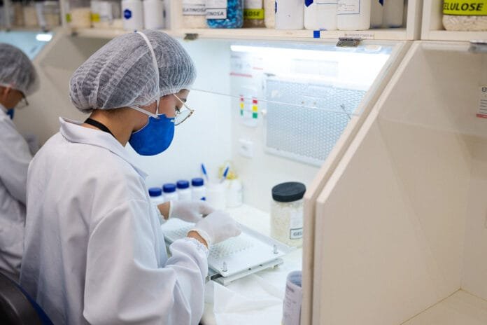 Remédios personalizados facilitam tratamento de pets