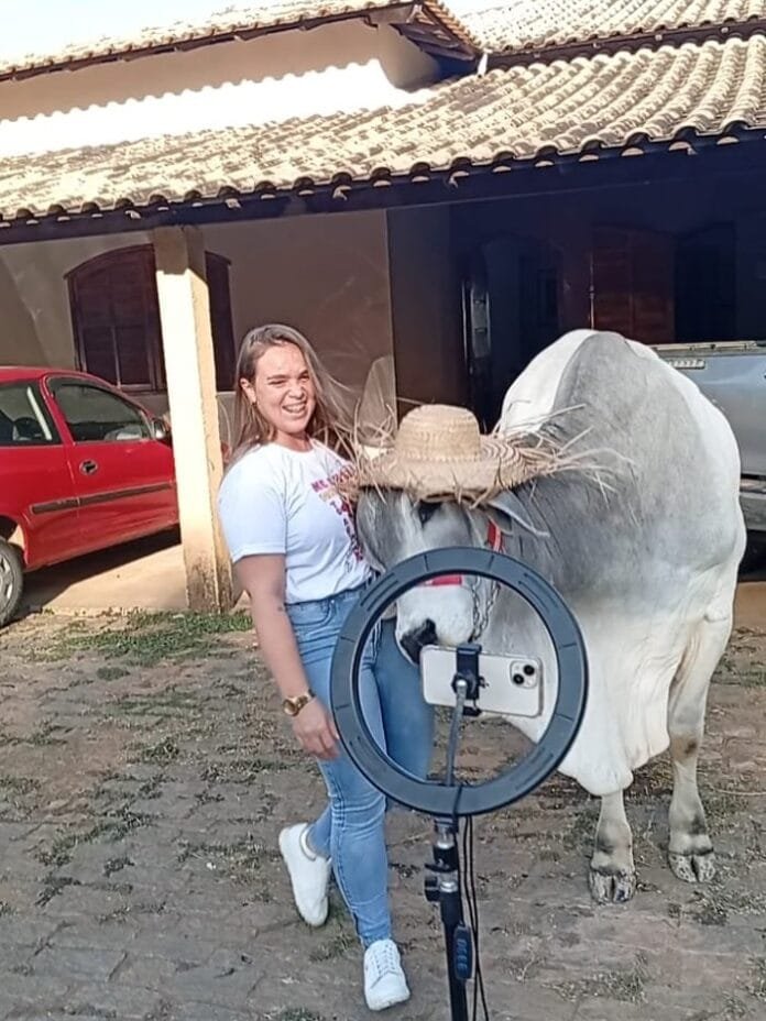 Conheça o 