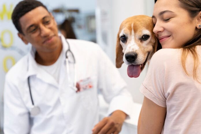 Humanização hospitalar com animais exige responsabilidade e regulamentação