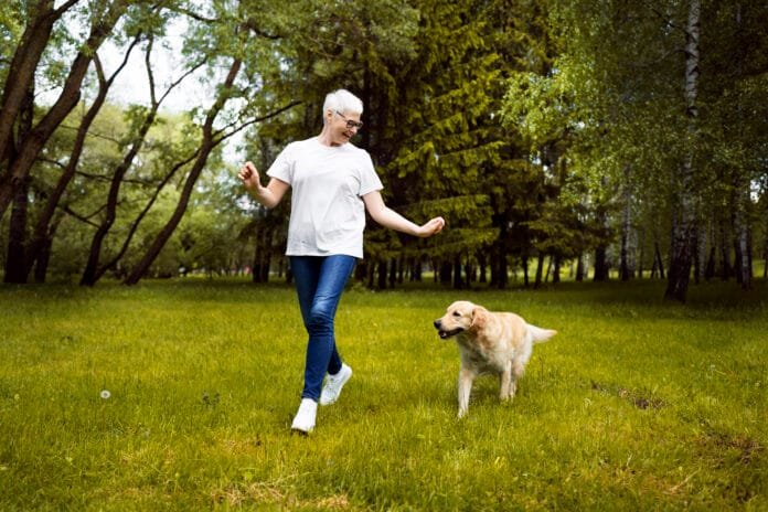 Passeios apenas no fim de semana podem ser risco para cães