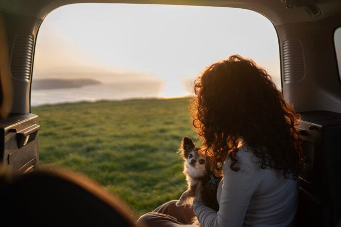 Cidades pet friendly crescem no Brasil e transformam a forma como tutores viajam e vivem com seus animais