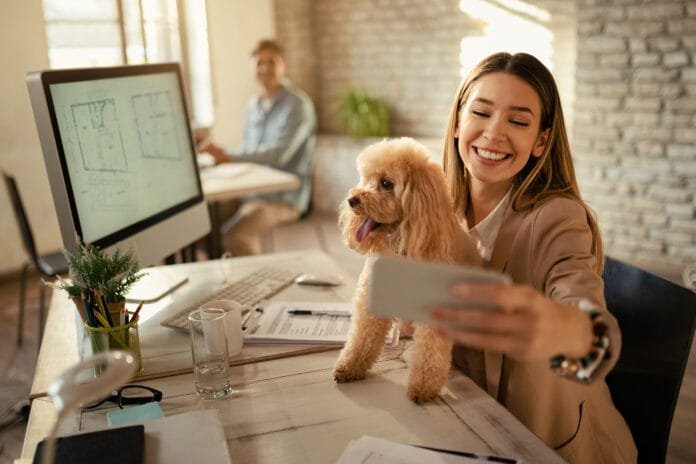 *Empresas pet-friendly são diferenciais em promoção de bem-estar, atração e retenção de talentos *