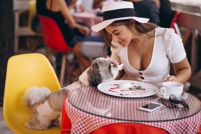 Fim de ano em bares e restaurantes também é pet friendly Fim de ano em bares e restaurantes também é pet friendly