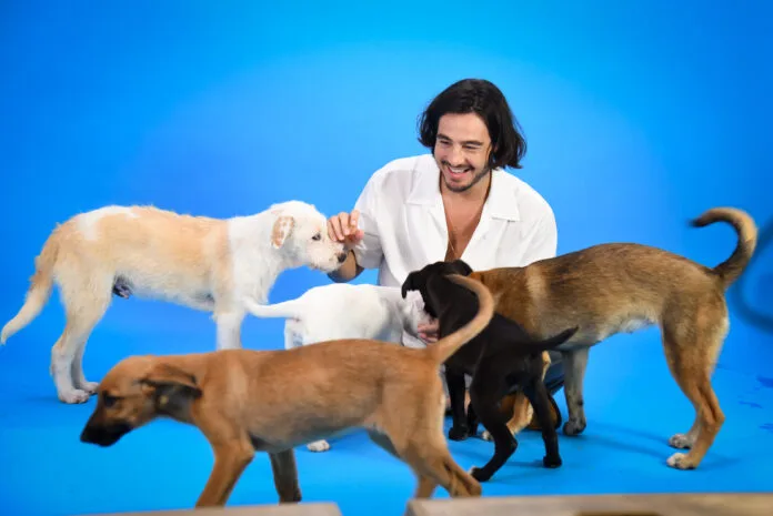 Tiago Iorc canta “Oração de São Francisco” e dá voz à causa animal