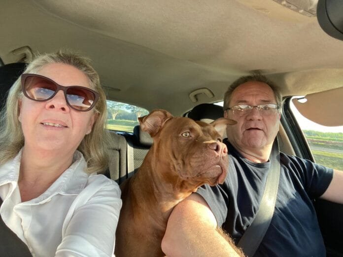 Pesquisa revela: 65% dos tutores brasileiros estão dispostos a investir o que for preciso com seus pets