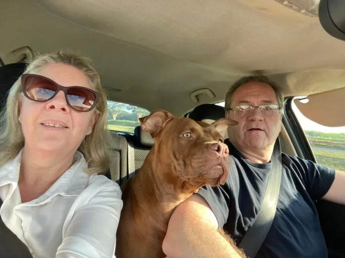 Pesquisa revela: 65% dos tutores brasileiros estão dispostos a investir o que for preciso com seus pets