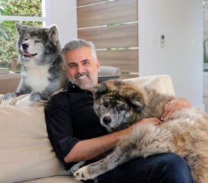 Causa Animal não é bandeira, é dignidade 