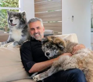 Causa Animal não é bandeira, é dignidade 