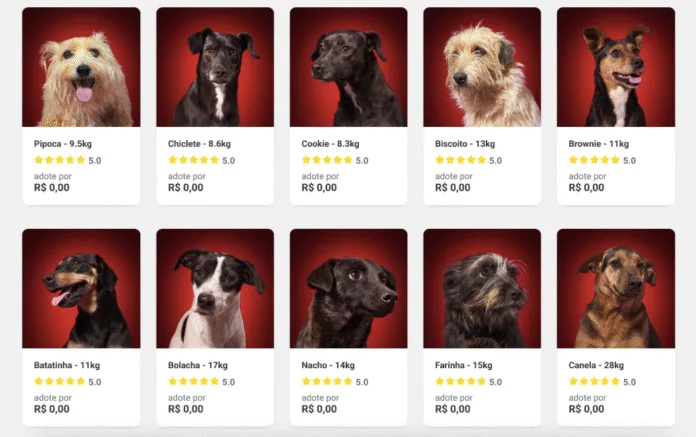 Americanas transforma a Black Friday em oportunidade para incentivar a adoção responsável de pets