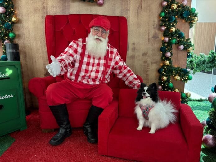 Tronos Pet garantem fotos memoráveis com o Papai Noel em shoppings de SP