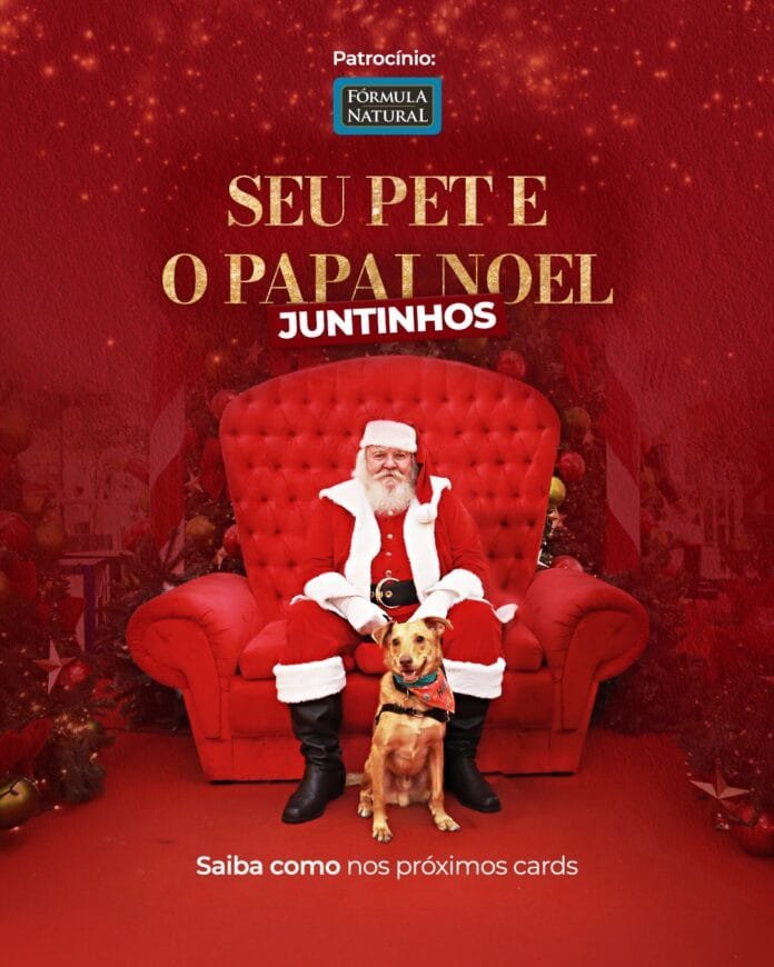 Natal Pet no Shopping Curitiba celebra o espírito natalino com tutores e seus pets