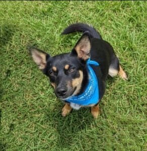 Louise, 3 anos (Crédito: Divulgação)