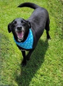 Menino, 2 anos (Crédito: Divulgação)