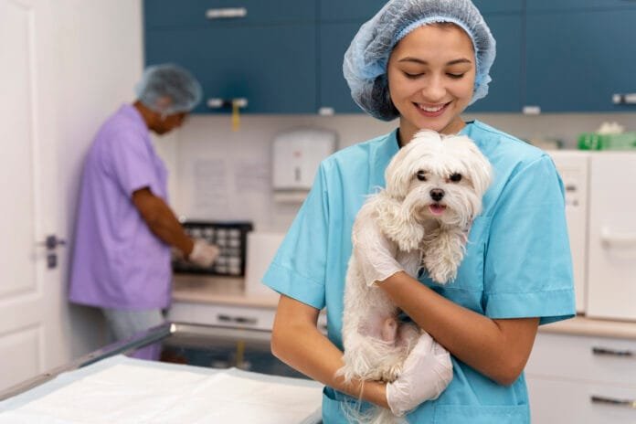 Mercado veterinário em alta: Faculdade Qualittas abre inscrições para o Vestibular de Medicina Veterinária em São Paulo