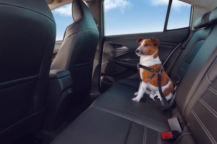 Chevrolet inova com serviço de emergência para pets via OnStar