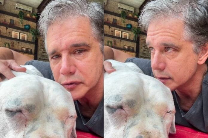 Márcio Garcia se despede de Dogo, cão que lutava contra linfoma