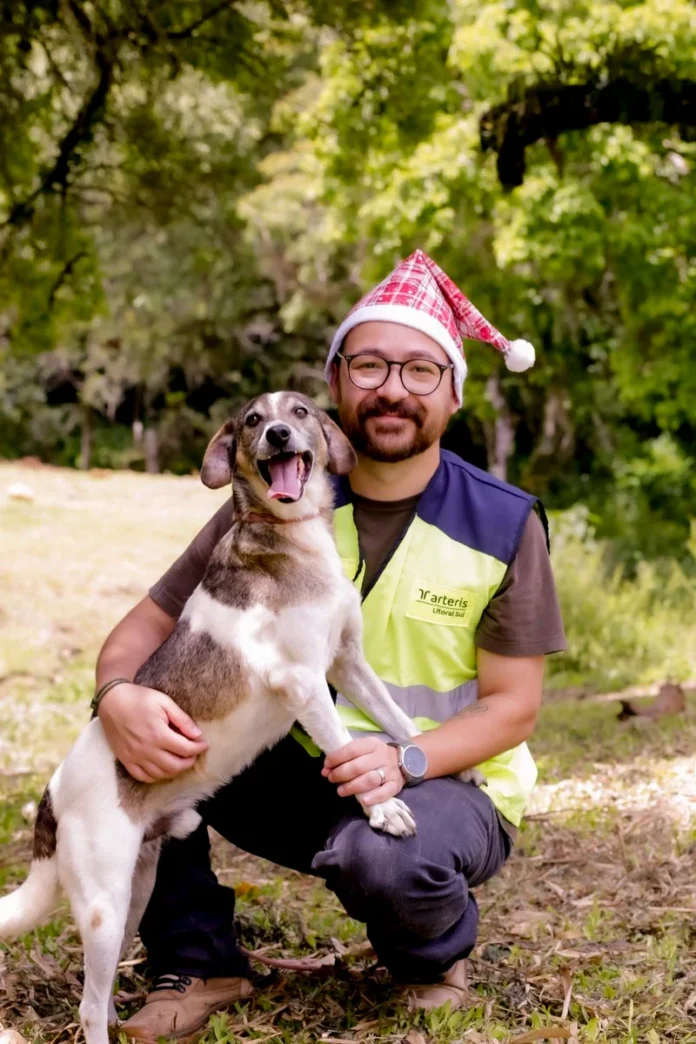 Campanha de Natal transforma fotos lindas em esperança: cães resgatados de rodovias ganham ensaio especial para encontrar uma família