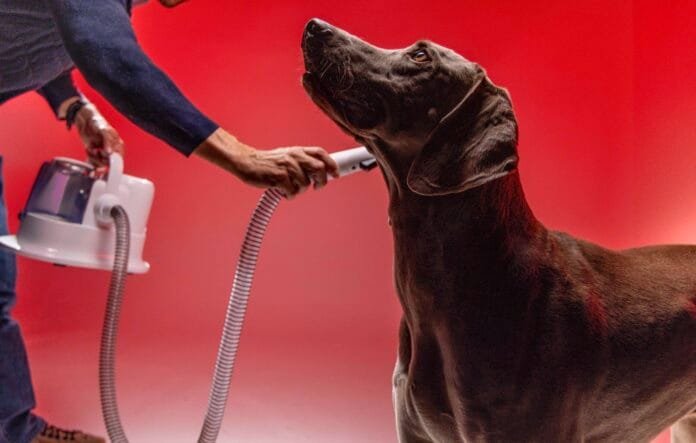 Kärcher entra no mercado pet brasileiro com aparelho multifuncional para higiene de cães e gatos