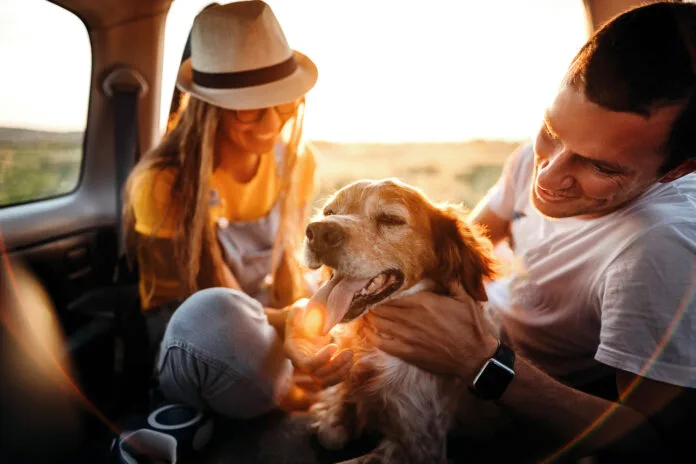 Saiba como viajar com segurança e evitar parasitas neste verão