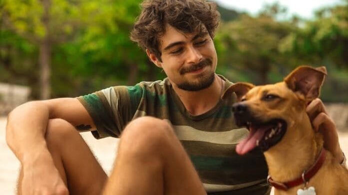 Caramelo’: filme brasileiro sobre vira-lata conquista o mundo e bate recorde na Netflix