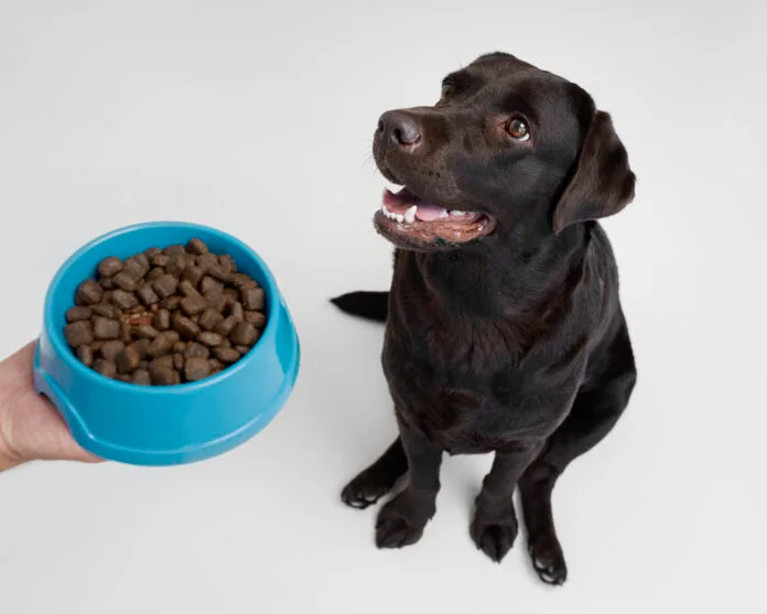 Pets realmente “enjoam” da ração?