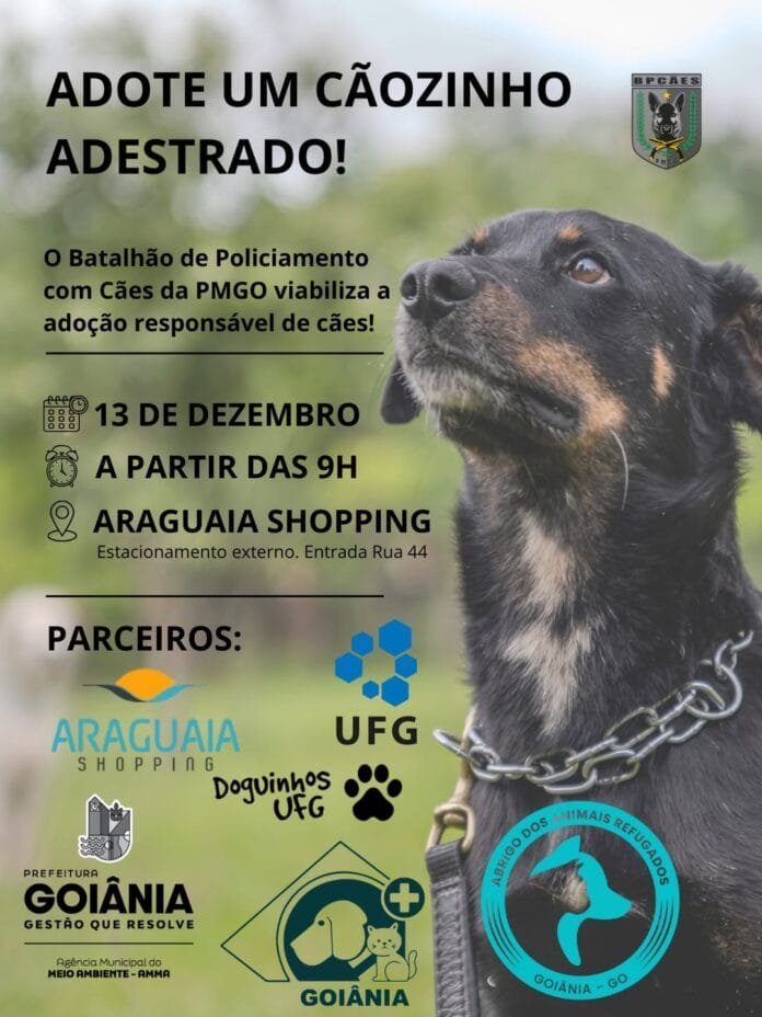 Cães adestrados aguardam por um novo lar em feira de adoção promovida pela Polícia Militar de Goiás