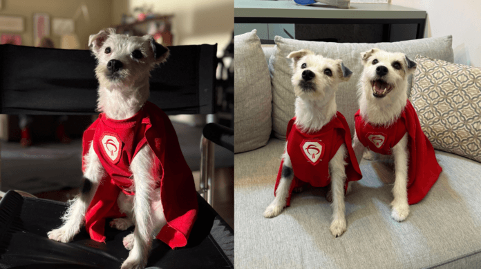 De Campinas para as telas: conheça as irmãs que estrelam a campanha do Bradesco