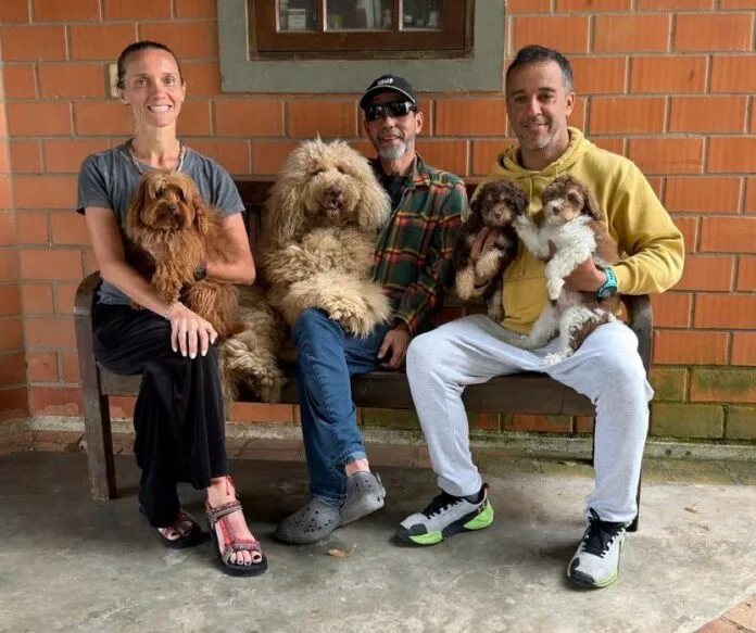 Cães que Salvam Vidas: a Revolução dos Pets de Alerta Médico e Assistência no Brasil