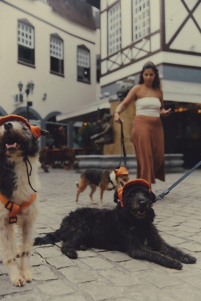 Mais uma vez, o Rio Open abre espaço para quem mais precisa: os CãoDulas voltam ao torneio para chamar atenção à adoção responsável