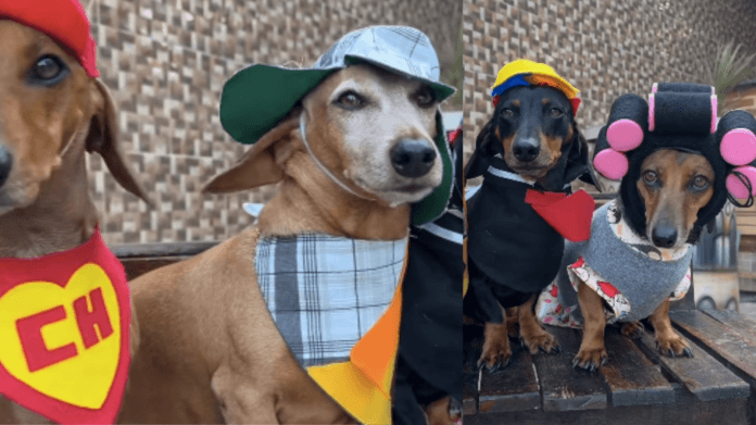Quarteto de Salsichas viraliza fantasiado como a Turma do Chaves no CarnavAU