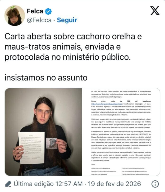 Caso Orelha mobiliza MP: Felca solicita canal 24h e anônimo para denúncias