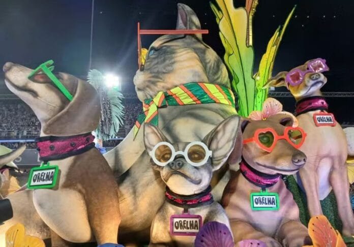 Mocidade homenageia orelha em desfile sobre Rita Lee