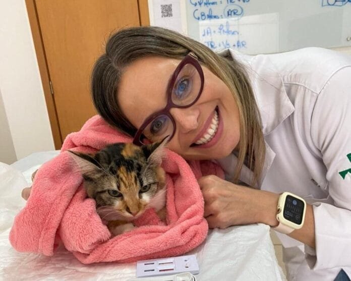 Elas são maioria e estão transformando a medicina veterinária brasileira
