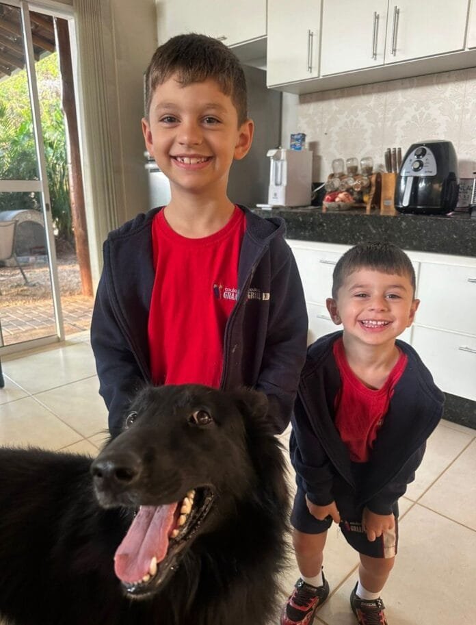 Sumiço de cachorro mobiliza a internet e comove milhares de pessoas