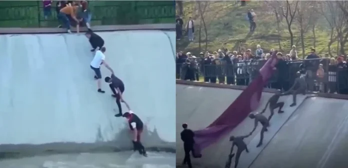 Solidariedade que virou monumento: resgate comovente de cachorro ganha estátua de bronze