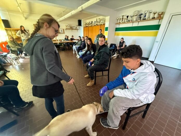 Cão que detecta crise antes do médico: brasileiro leva protocolo à Europa e acende debate global