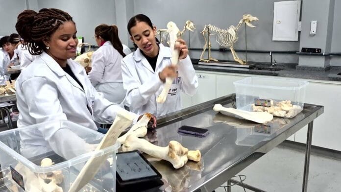 Mercado pet em expansão aquece a demanda por médicos-veterinários no Brasil