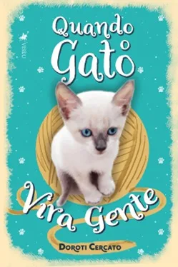 Adoção de um gato abandonado virou livro e agora inspira novos resgates