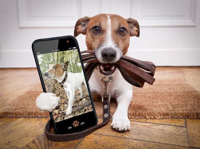 Coleira inteligente para pets com IA interpreta latidos e comportamento