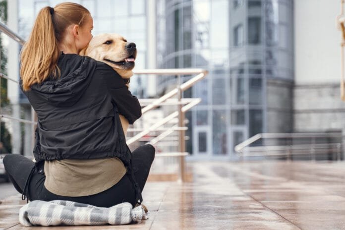 Síndicos podem ser aliados da causa animal e a lei agora exige isso