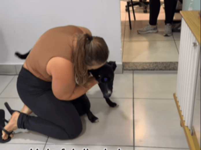 Meloso recebe alta após envenenamento e reencontra Adriane Gonçalves na clínica veterinária