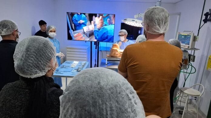 Mercado pet em expansão aquece a procura pela Medicina Veterinária no Brasil