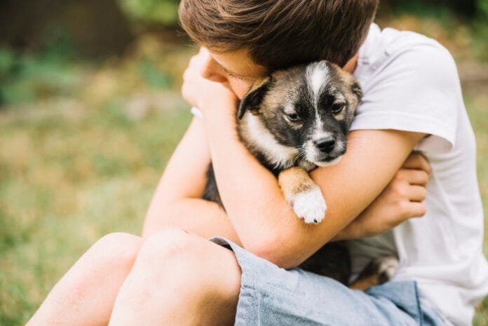 Adoção responsável de pets fortalece vínculos e a saúde mental