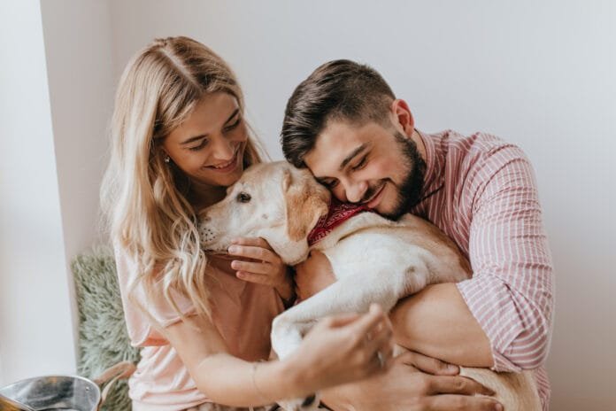 Quando o pet é família