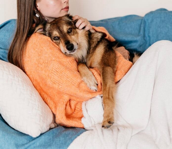 Você sabia que cães e gatos podem ter tumor cerebral com sintomas quase invisíveis?