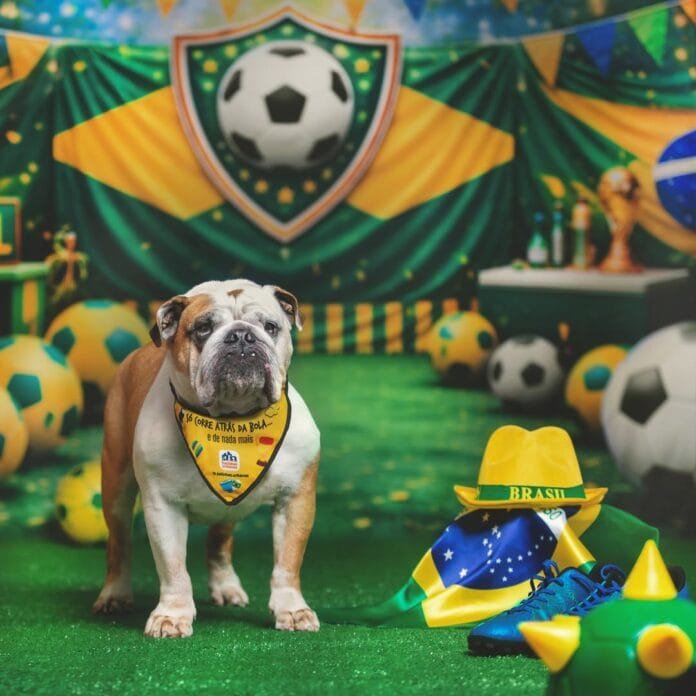 Copa do Mundo impulsiona novas ações no mercado pet