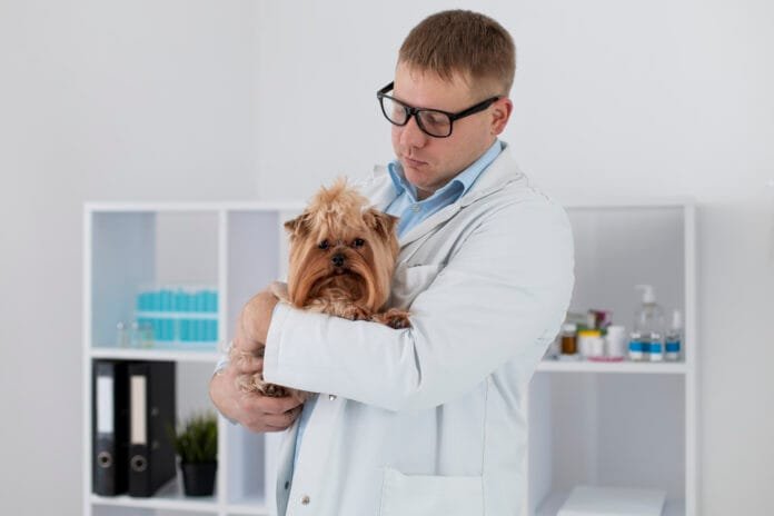 Você sabe o que faz um patologista veterinário?