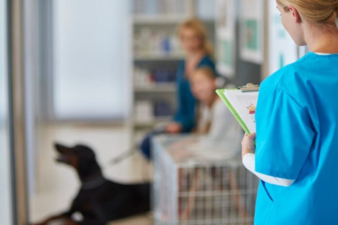Como o mercado pet em expansão está atraindo novos profissionais para a Medicina Veterinária?