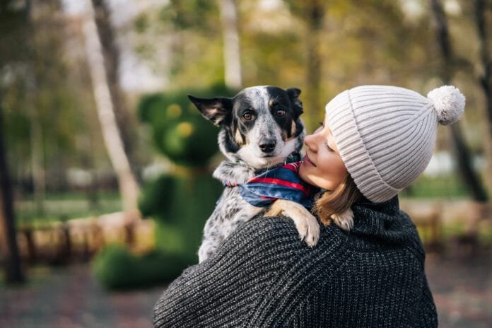 Seu pet está protegido contra as doenças do inverno?